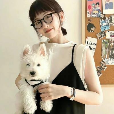 芙蓉仙子